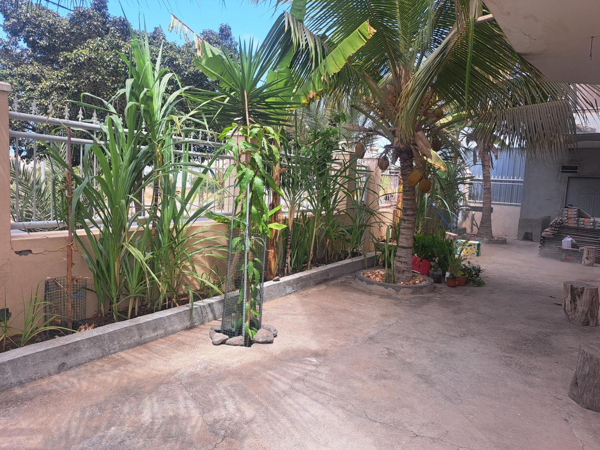 Barros Homestay Tarrafal  Extérieur photo